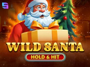 Wild Santa - Hold & Hit game icon